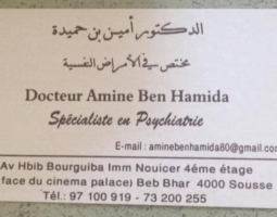 Dr Amine Ben Hamida